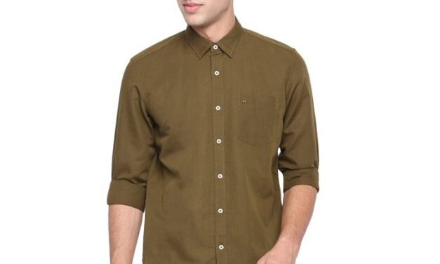 Mens Slim Fit Green Dress Shirt A Stylish Choice for Any Occasion