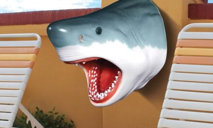 How to make the door shark decoration with recycled materials