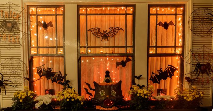 How to decorate your window for Halloween with spooky and creative ideas